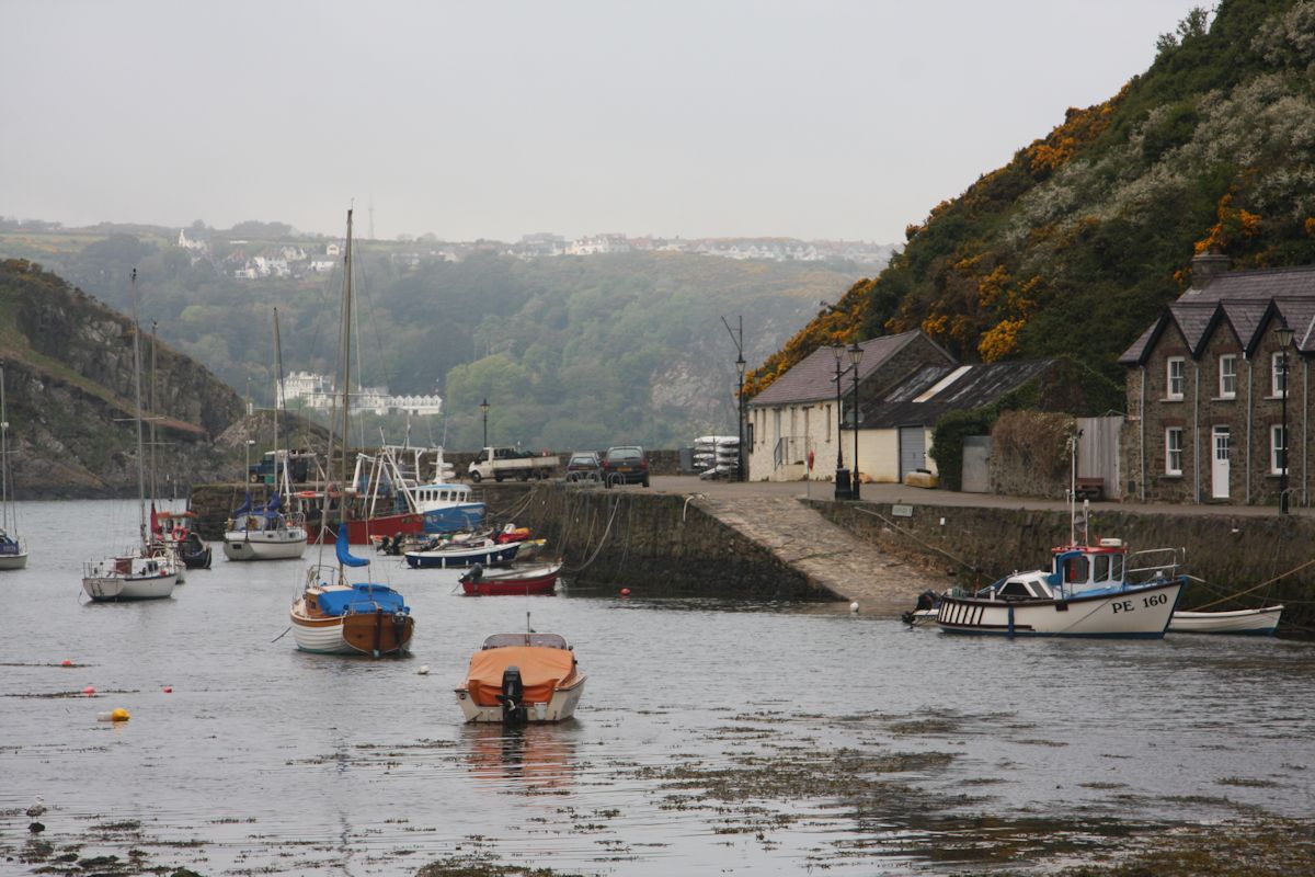 Lower Fishguard (Cwm)